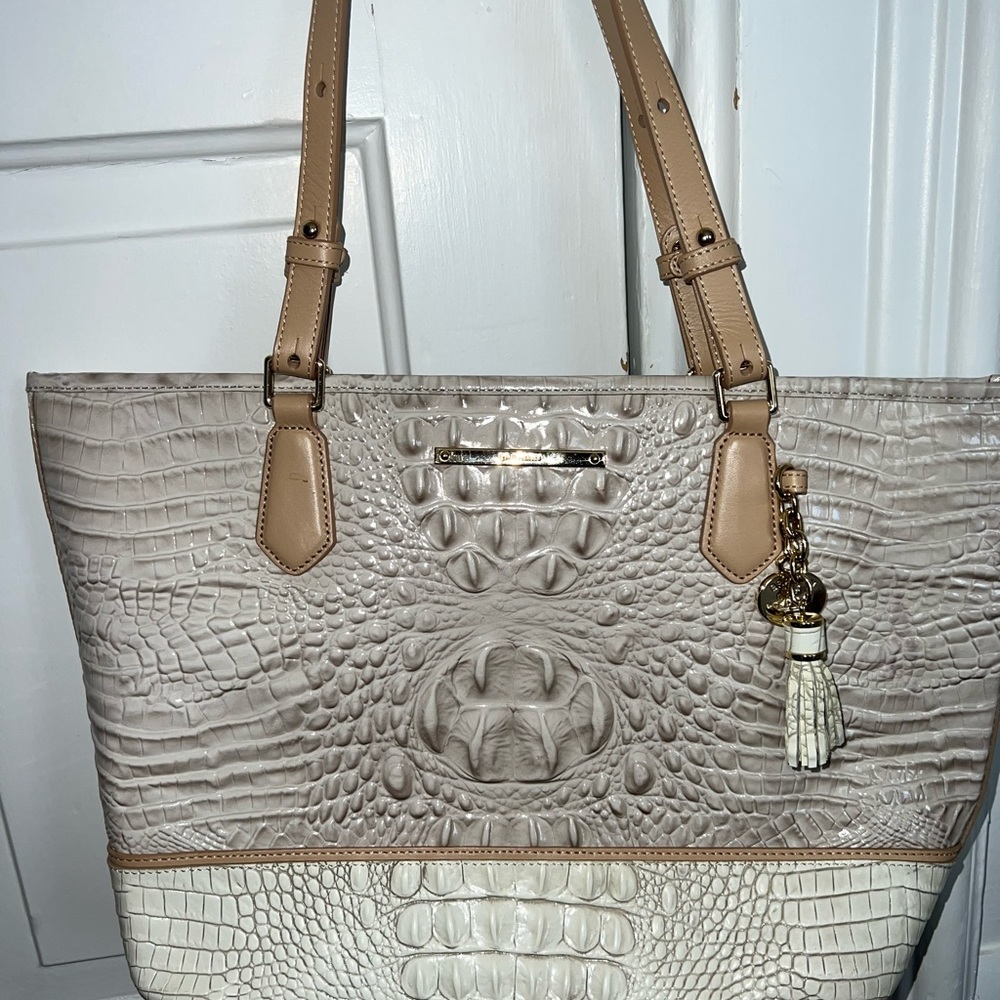 Medium Asher Pumice Brahmin Bag